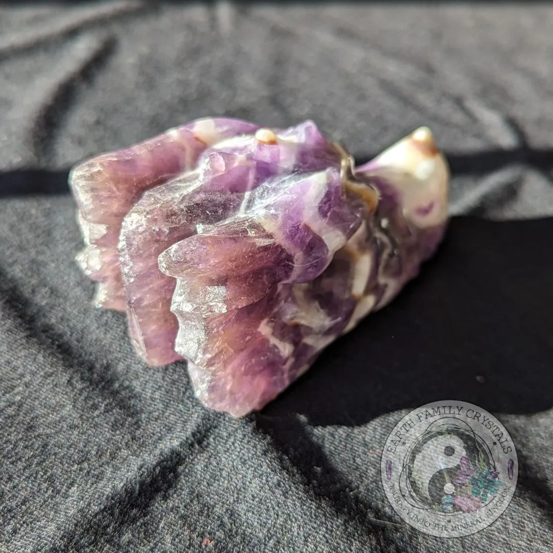 Dream Amethyst Dragon Head Carving ~ Chevron Amethyst ~ Dreamy Vibes