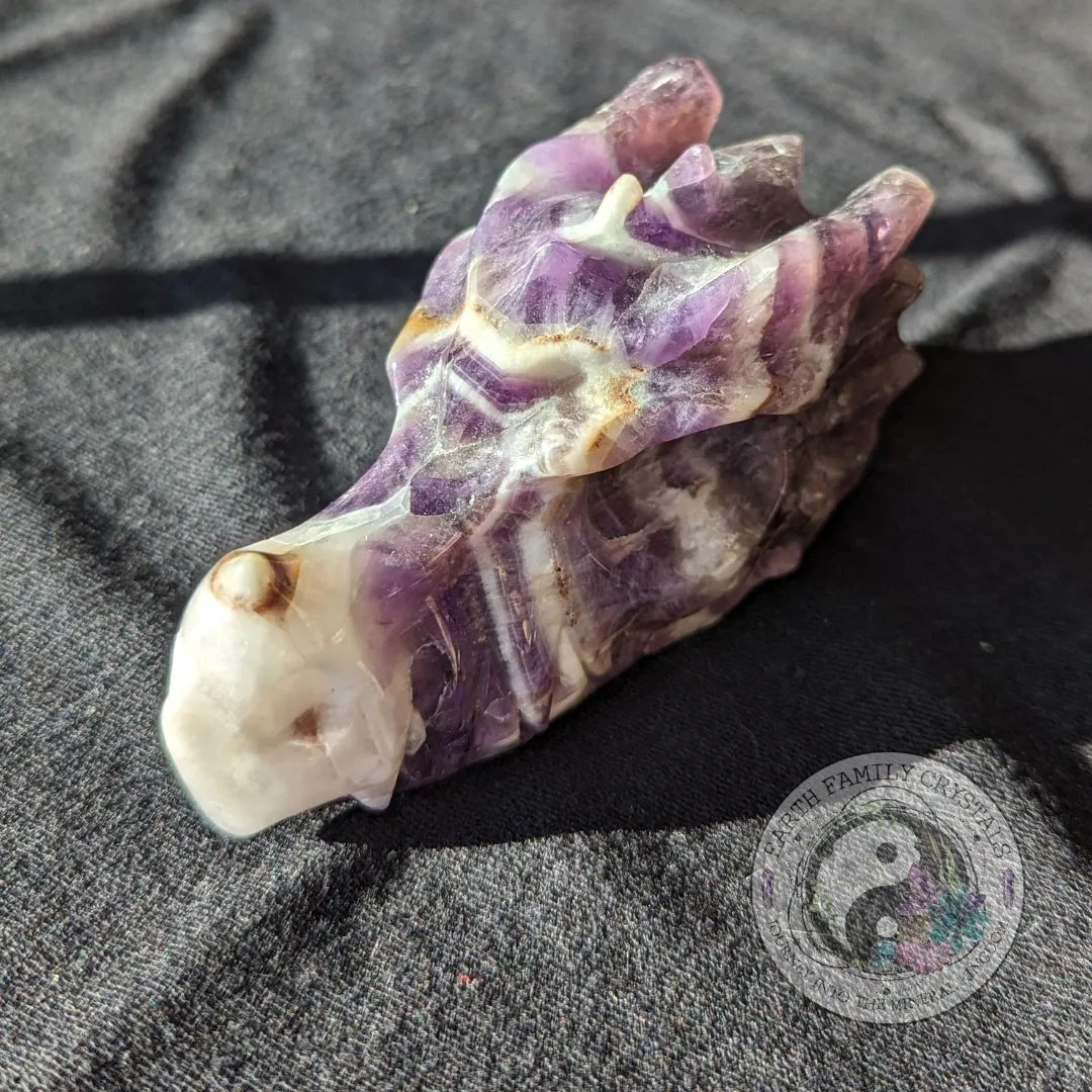 Dream Amethyst Dragon Head Carving ~ Chevron Amethyst ~ Dreamy Vibes