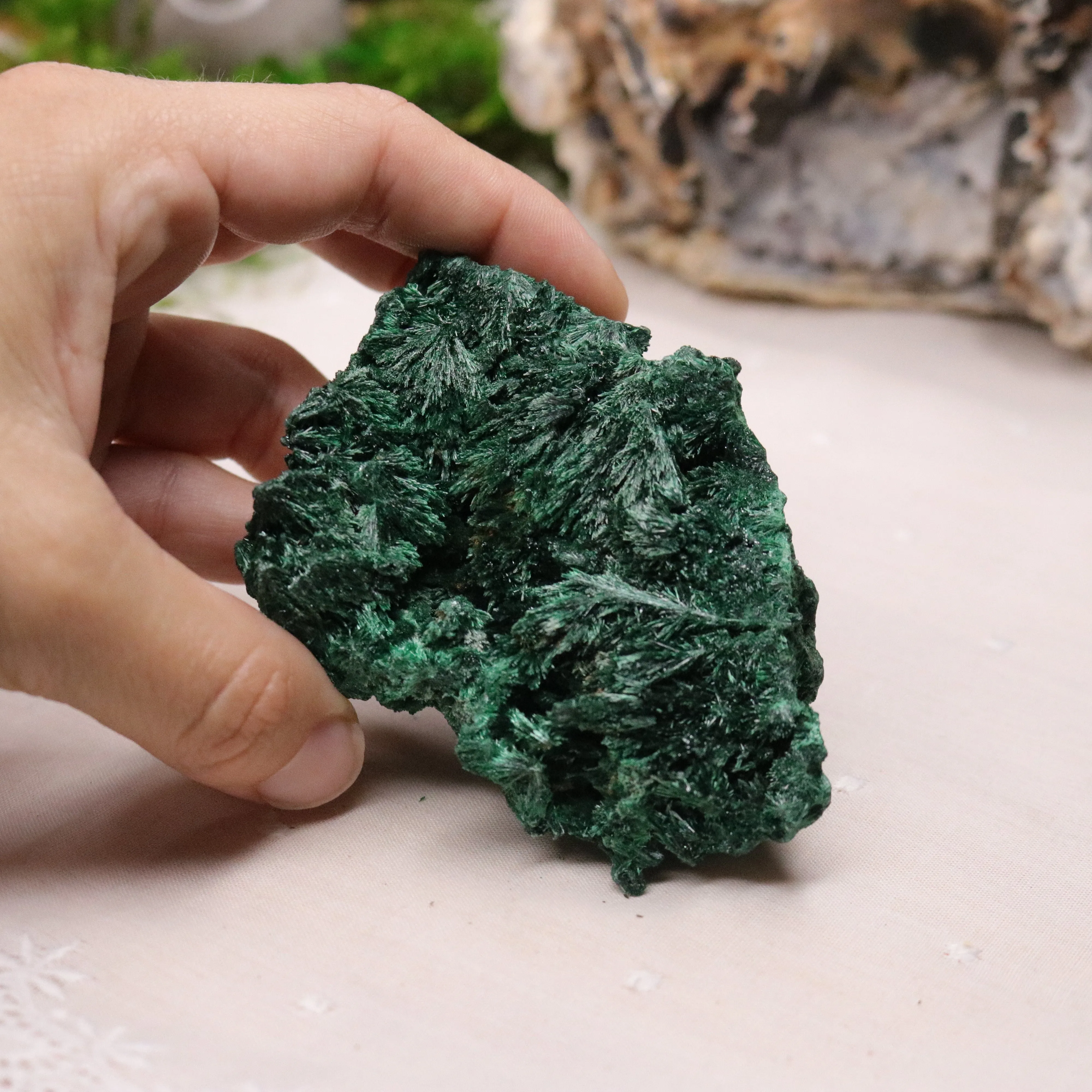 Fan Malachite Specimen ~ Fibrous Malachite ~ Uncommon Find