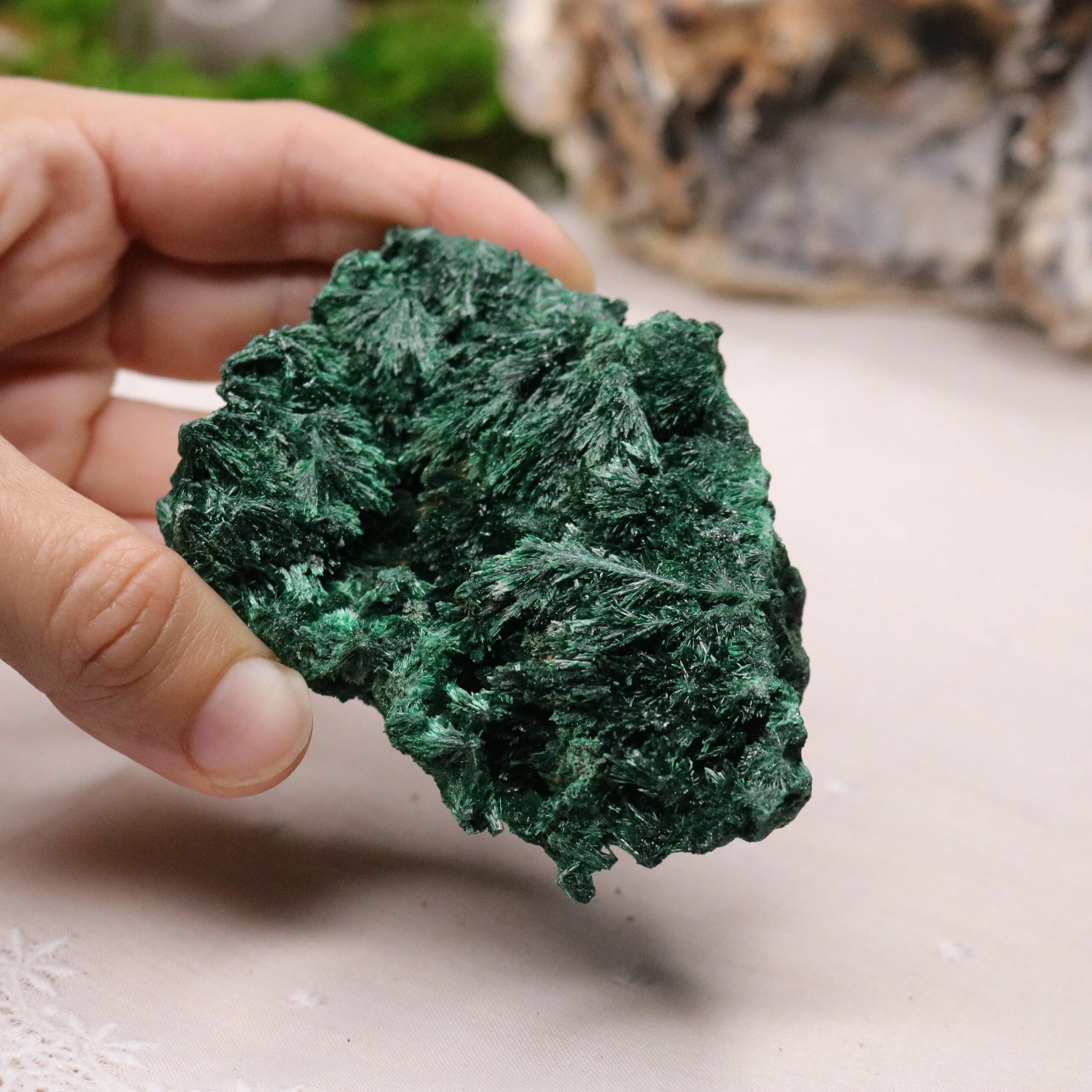 Fan Malachite Specimen ~ Fibrous Malachite ~ Uncommon Find