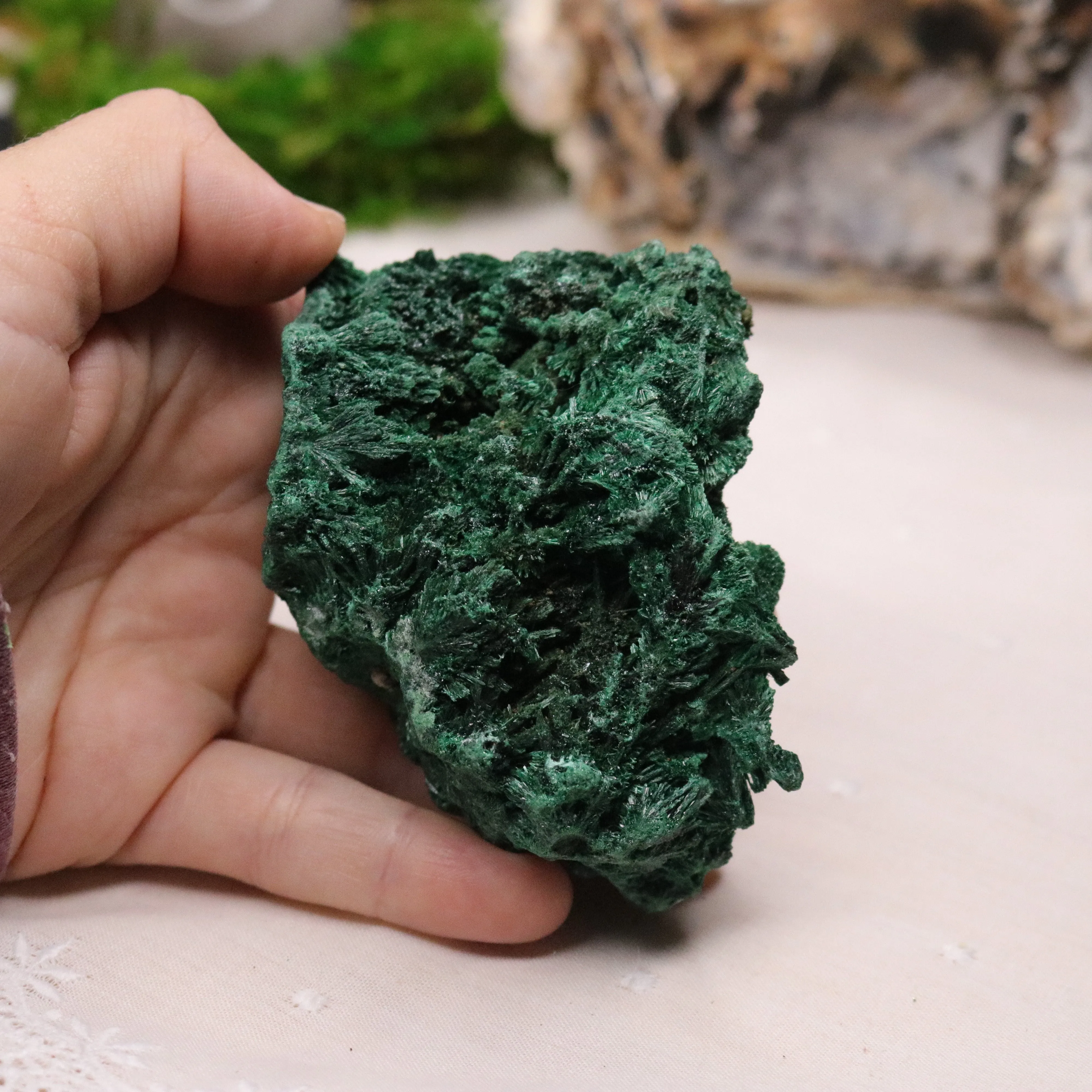 Fan Malachite Specimen ~ Fibrous Malachite ~ Uncommon Find