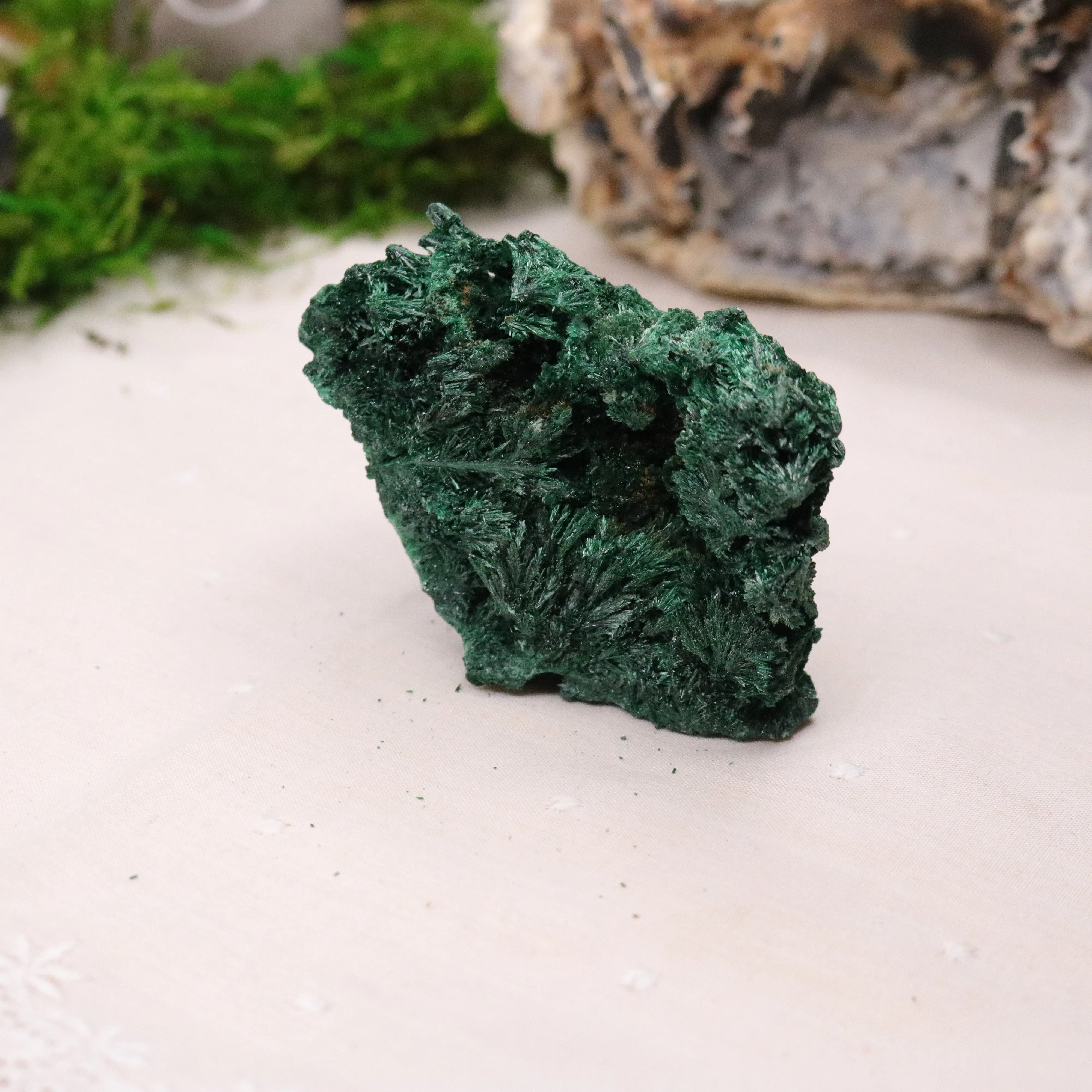 Fan Malachite Specimen ~ Fibrous Malachite ~ Uncommon Find