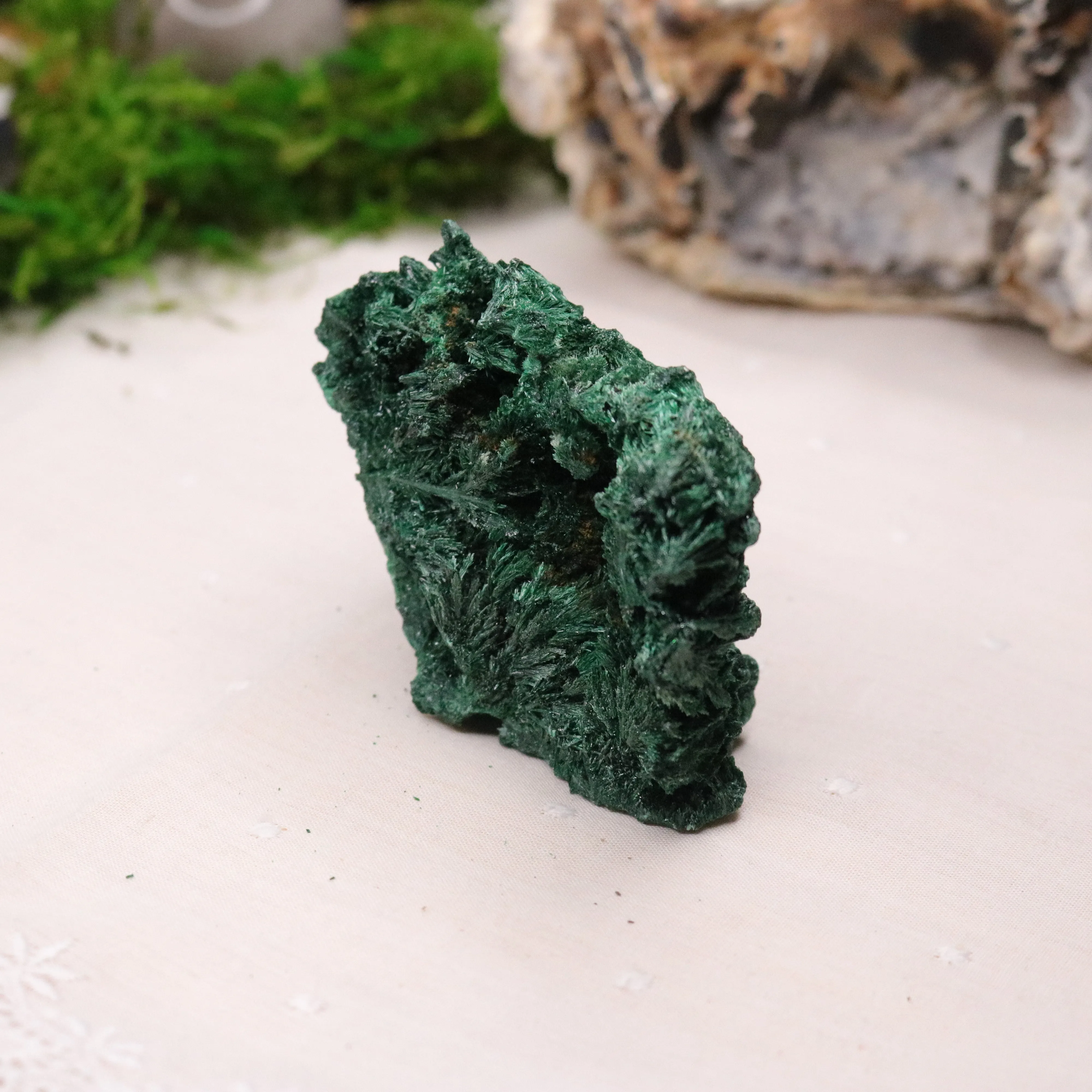 Fan Malachite Specimen ~ Fibrous Malachite ~ Uncommon Find