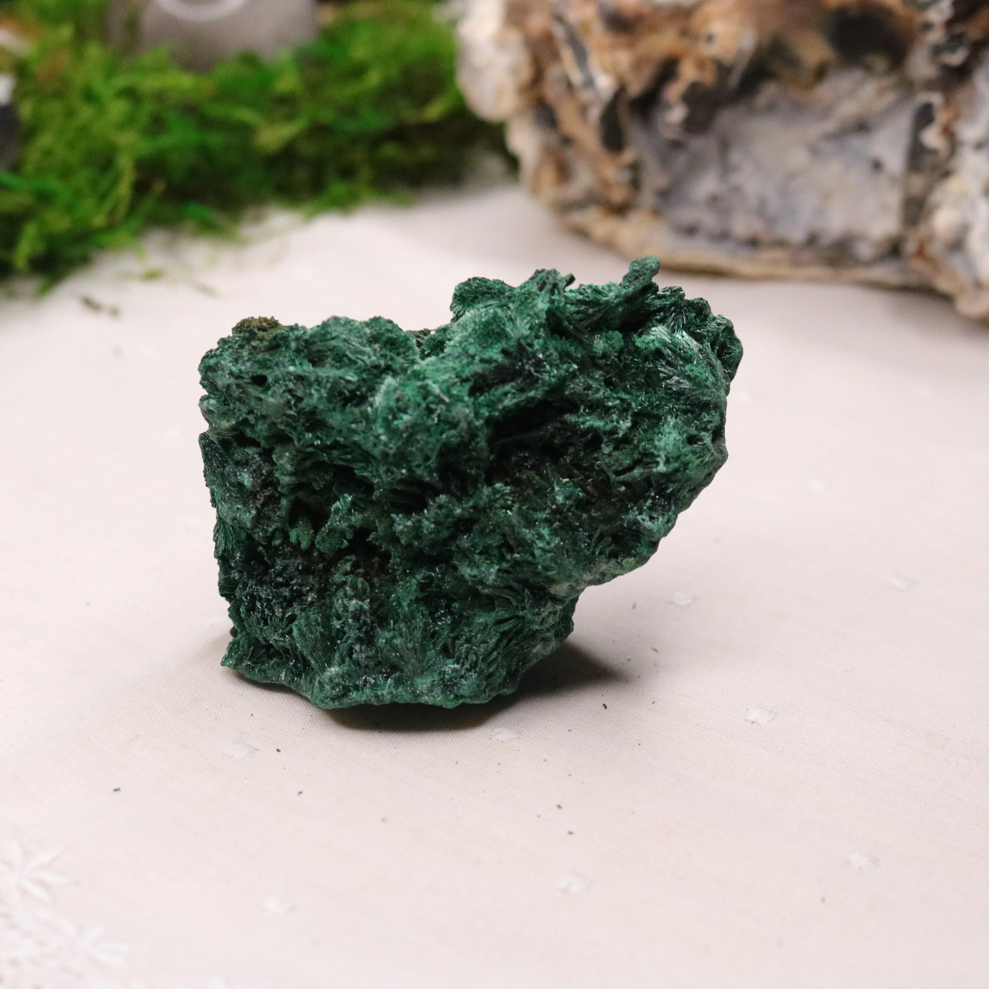 Fan Malachite Specimen ~ Fibrous Malachite ~ Uncommon Find