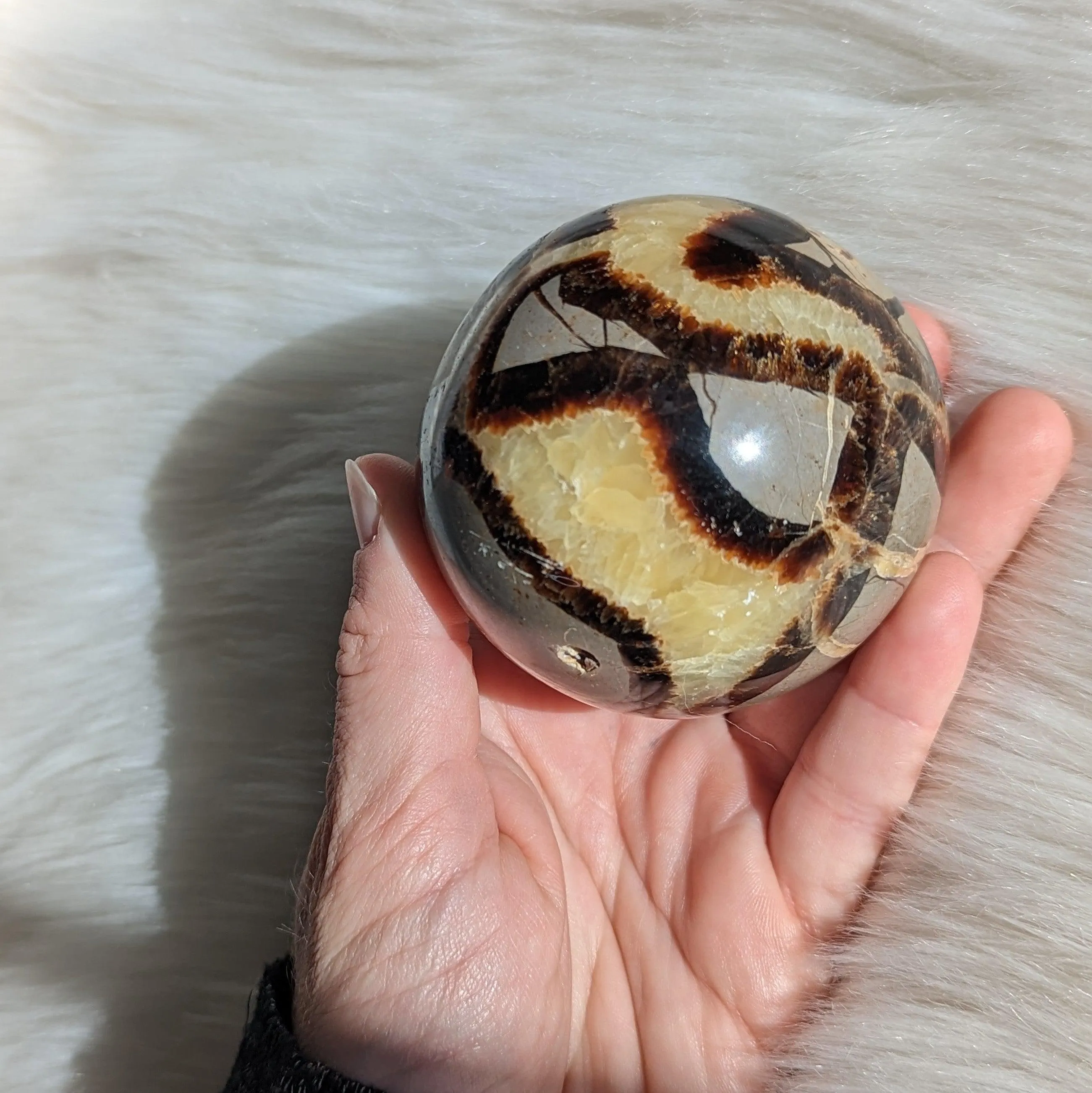 Historic Vibes ~ Large Septarian Gemstone Sphere