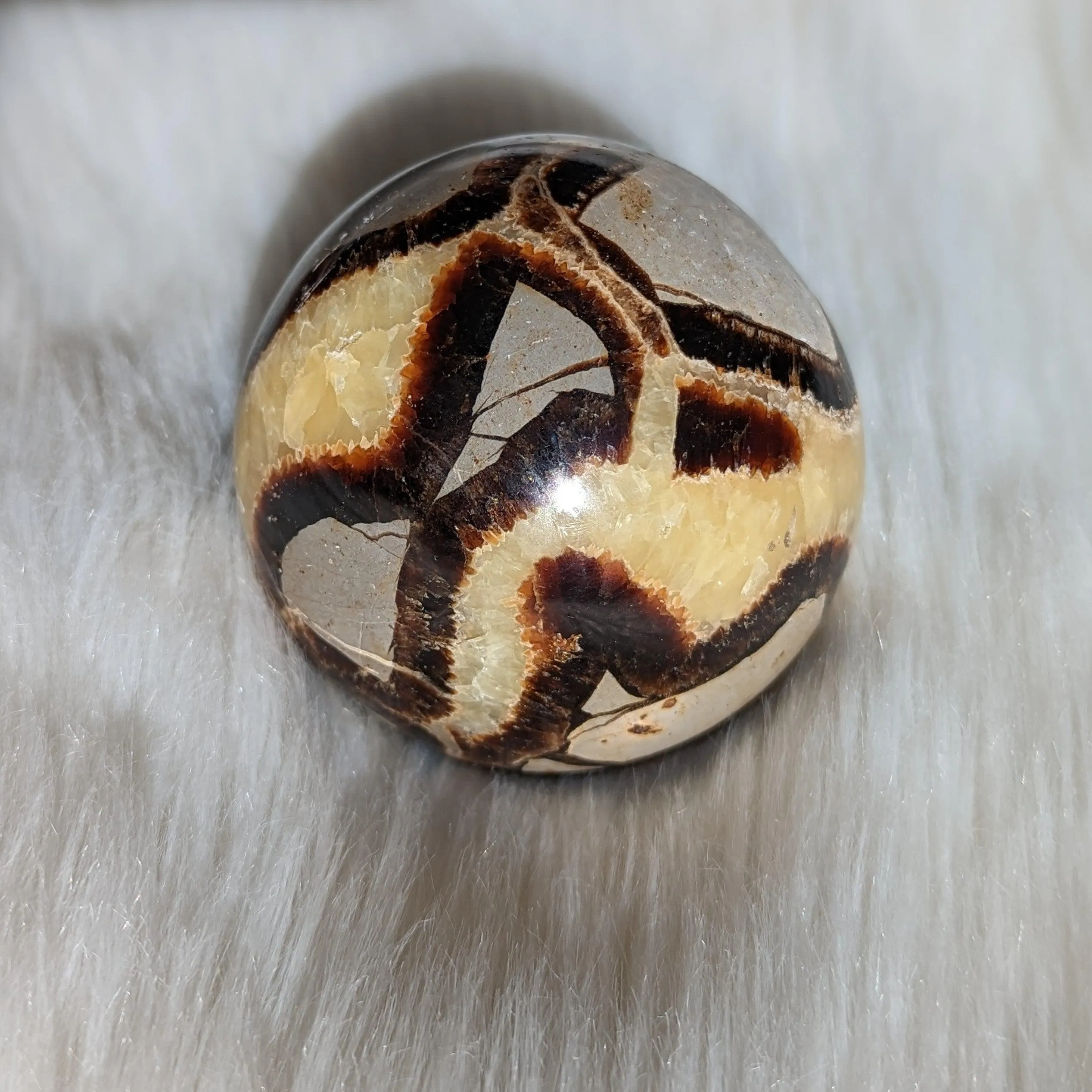 Historic Vibes ~ Large Septarian Gemstone Sphere