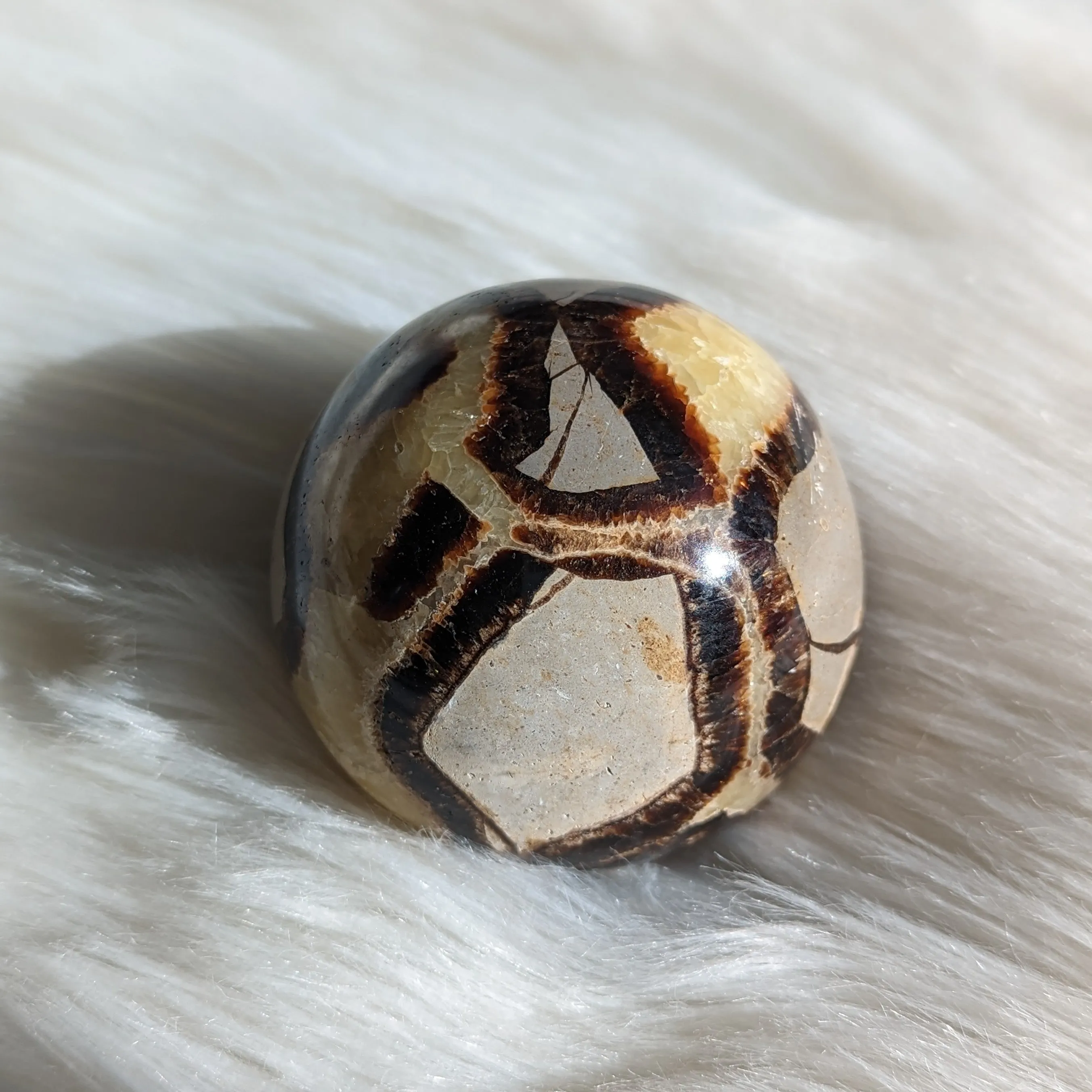 Historic Vibes ~ Large Septarian Gemstone Sphere