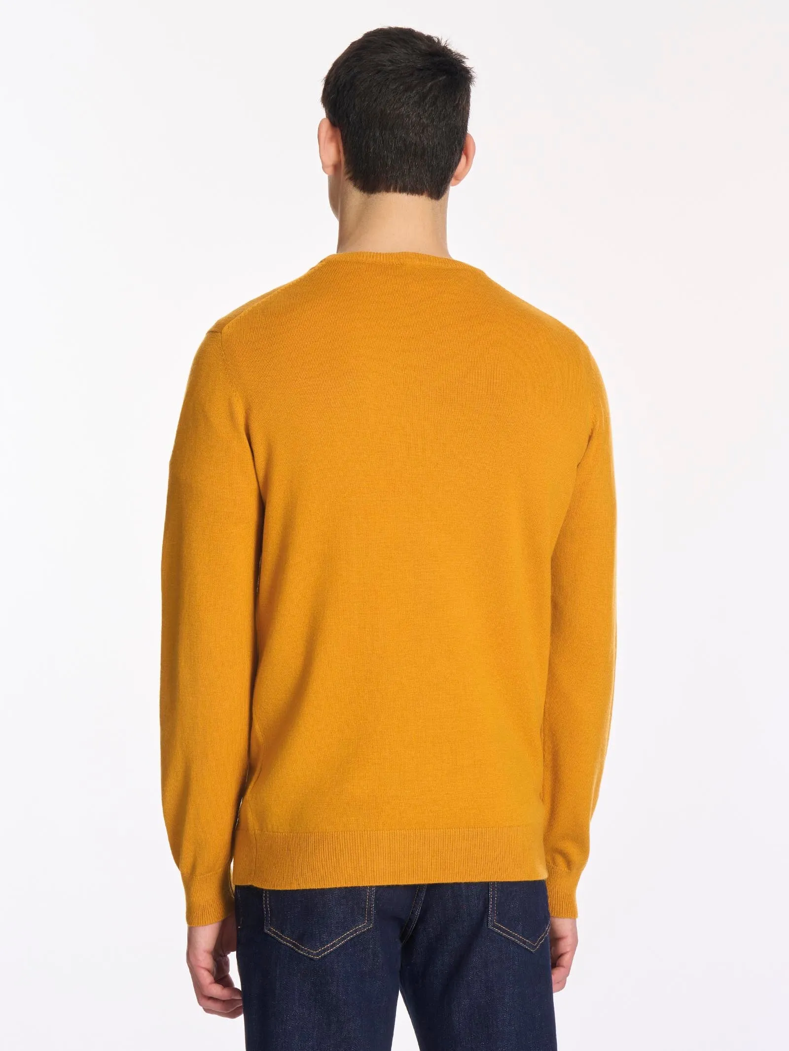 Pull girocollo in filato Sport Wool - Narcissus