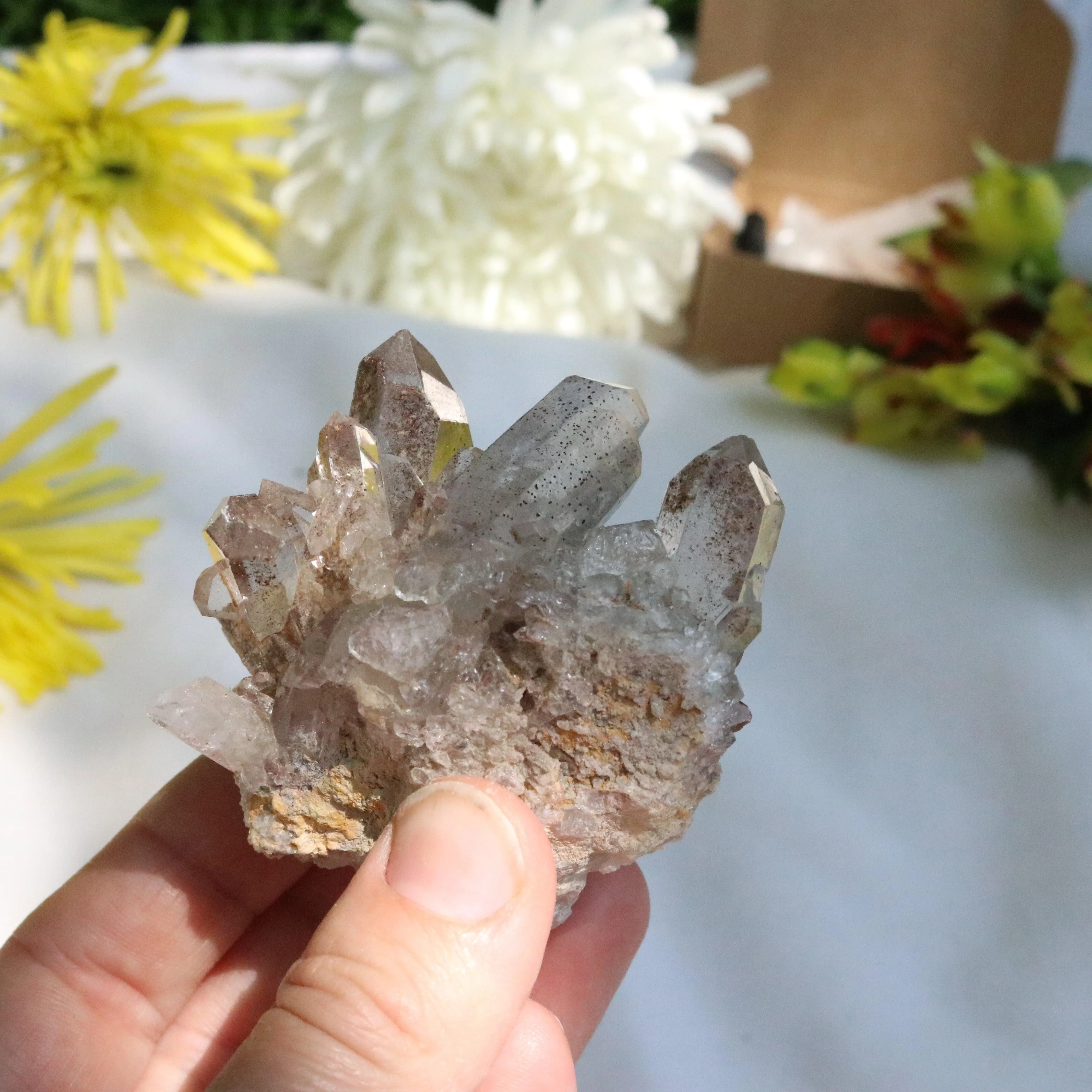 Quartz Cluster from Brazil ~ Gemmy and Earthy Vibes