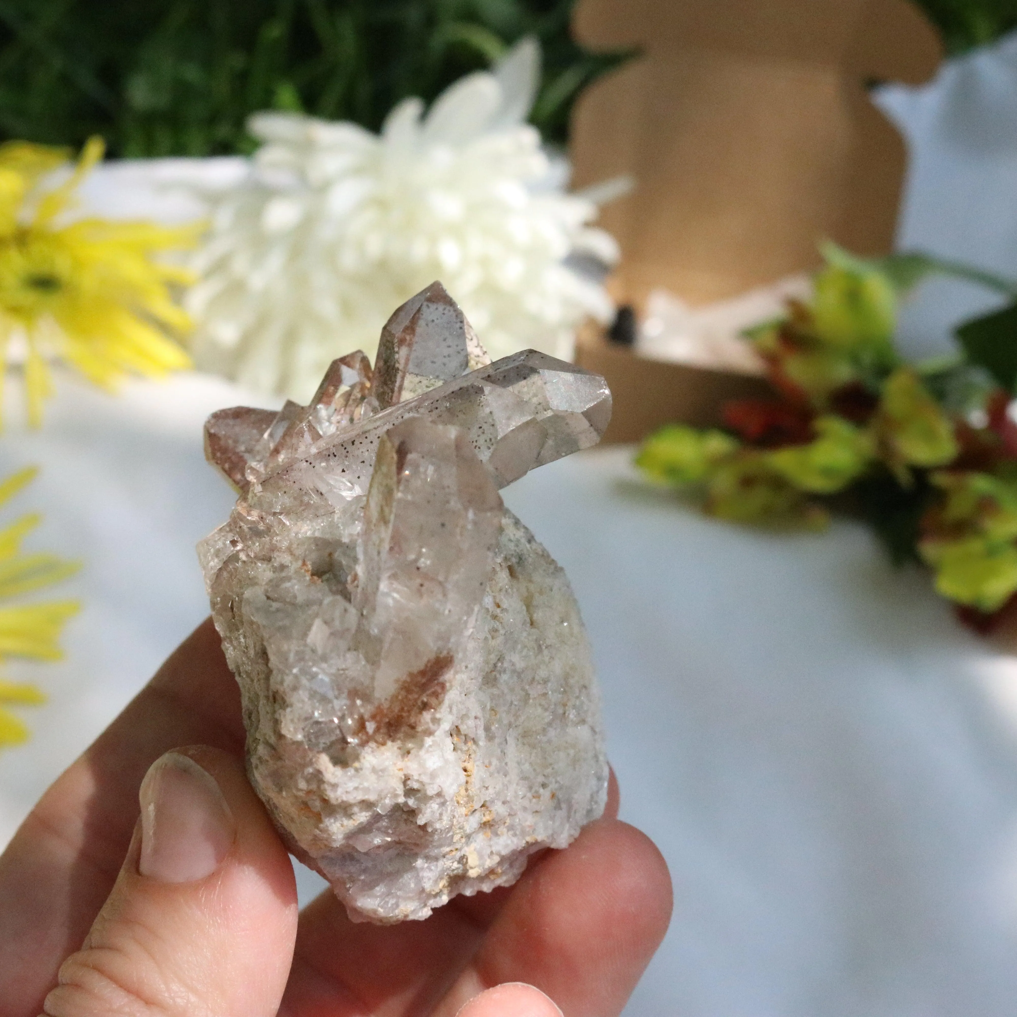 Quartz Cluster from Brazil ~ Gemmy and Earthy Vibes