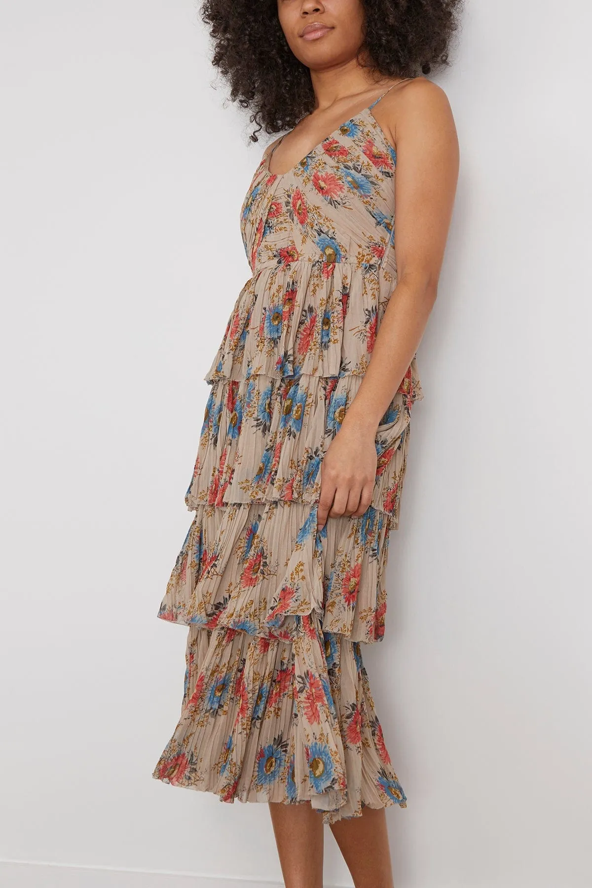 Roanne Print Tiered Dress in Multi