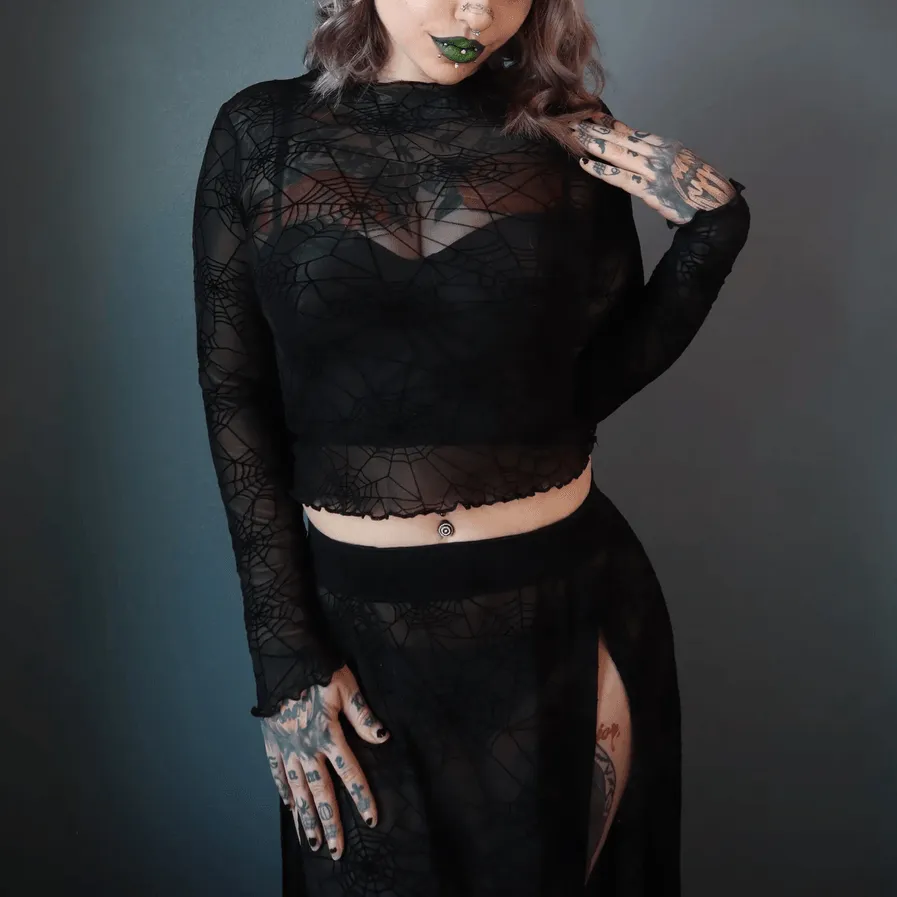 Spider Web Mesh Long Sleeve Crop Top