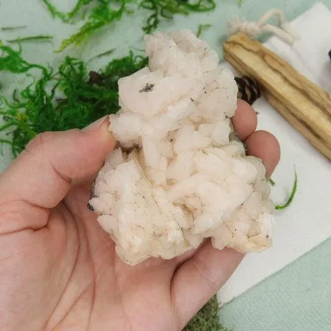 Unique Raw Soft Pink Dolomite Specimen~ Chakra Balancing Stone